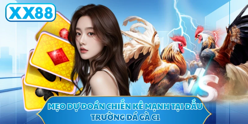 Mẹo dự đoán chiến kê mạnh tại đấu trường đá gà c1
